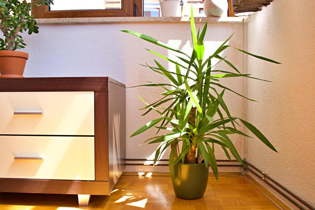Apartments Kanegra أوماغ المظهر الخارجي الصورة